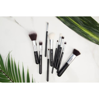 Professional Brush Collection